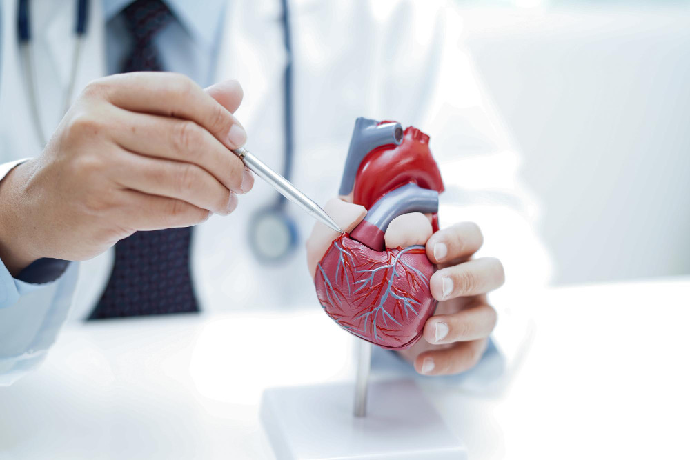 Dra Symone Schaefer - Dra Symone Schaefer médica cardiologista em São Paulo